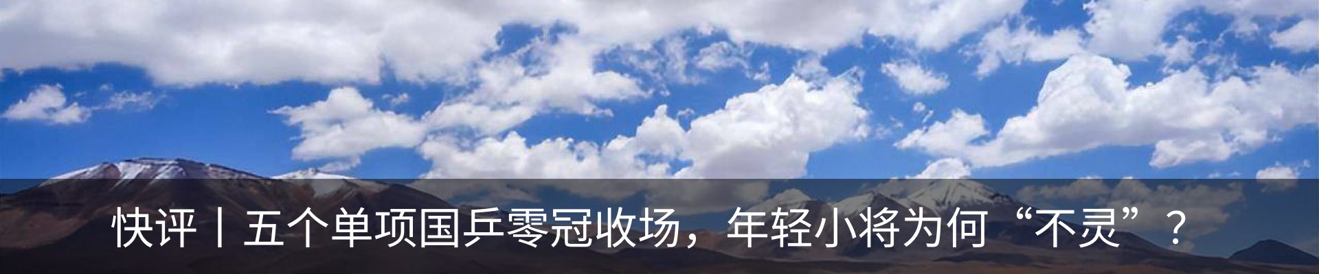 新闻动态