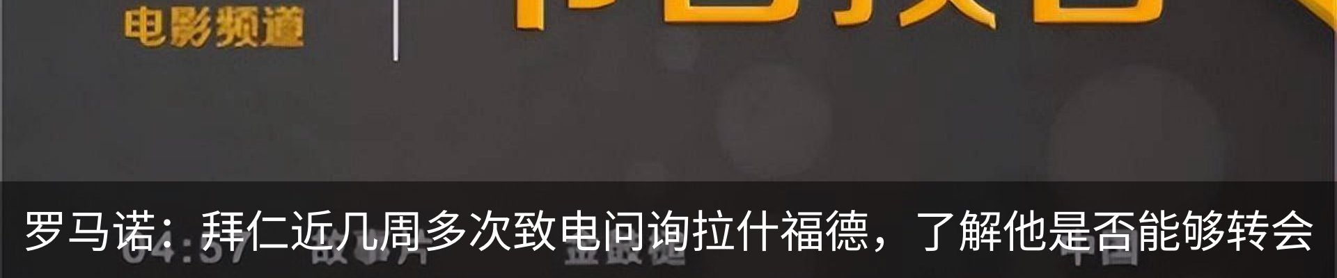 新闻动态